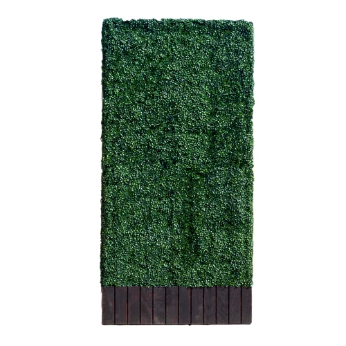 Hedge - 4" W X 8" H