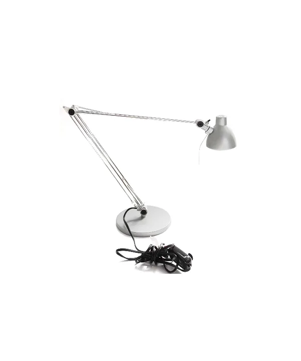 Articulated Chrome Arms With Silver