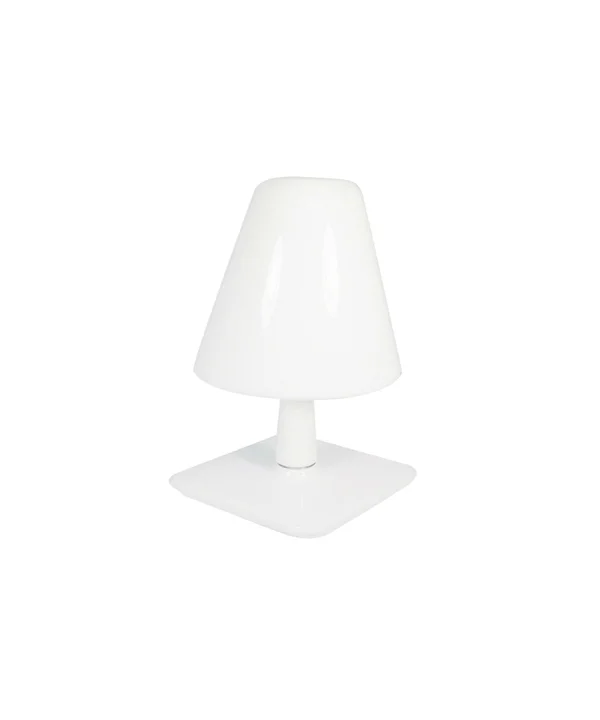 D Funghi White